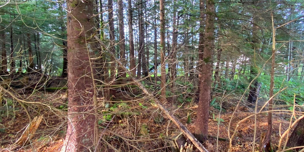 916 JUBILEE DRIVE Port Edward Photo 10 916 JUBILEE DRIVE Port Edward Photo 10